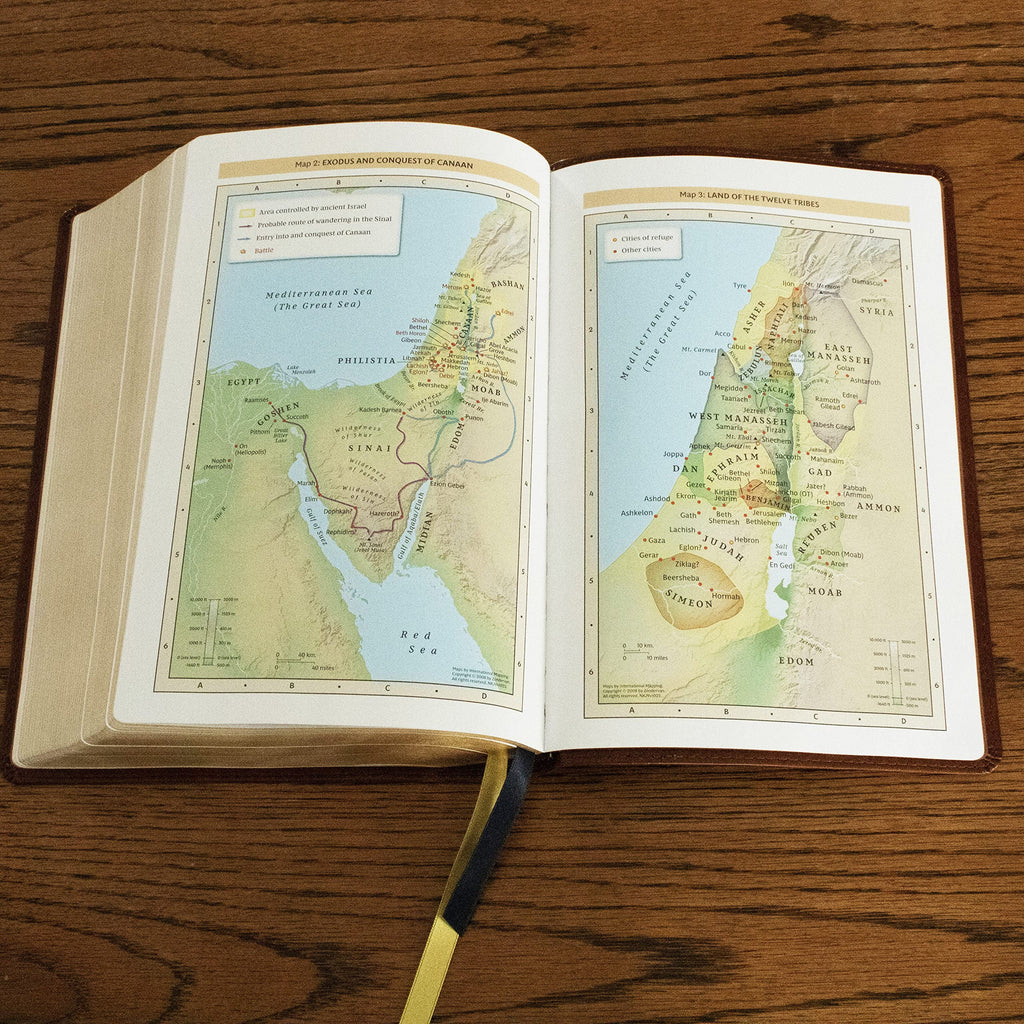 Nkjv, the Bible Study Bible, Leathersoft, Brown, Comfort Print: a Study Guide for Every Chapter of the Bible, (Hardcover)